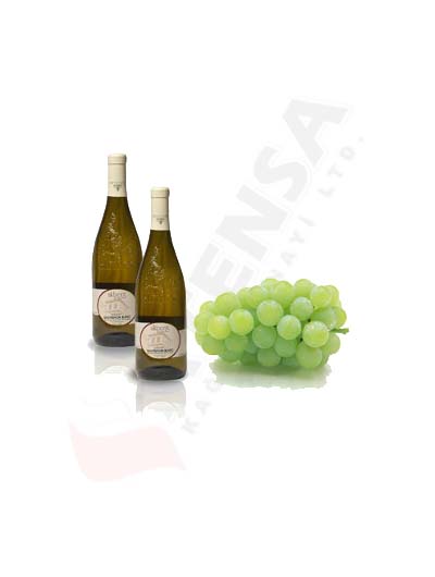 Akberg Sauvignon Blanc